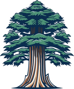Giant Redwood Tree Illustration vector
