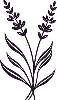 Simple Line Art Illustration of Lavender Flowers vector