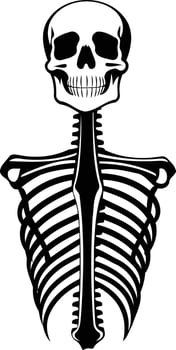A simple yet powerful black and white illustration of a human skeleton's ribcage and skull vector