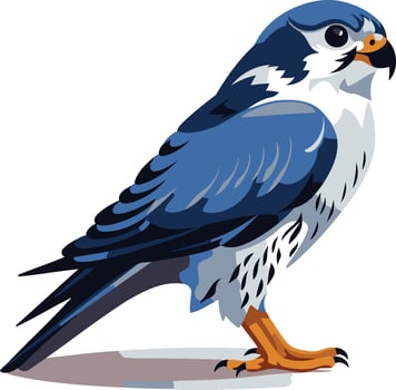 Blue and White Falcon Illustration vector