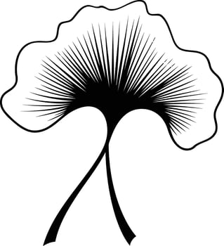 Simple black and white illustration of a ginkgo leaf vector