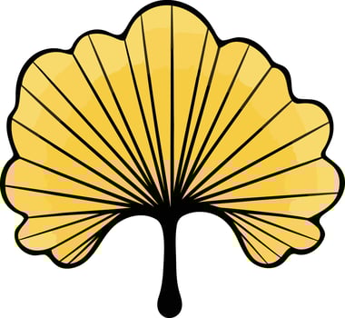 Ginkgo Biloba Leaf Illustration vector
