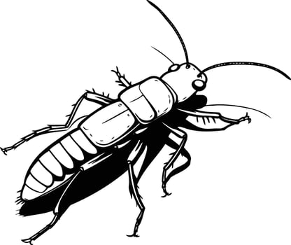Black and white illustration of a beetle, perfect for creating spooky halloween designs, horror movie posters, or entomological illustrations vector