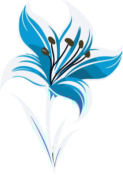 Blue and White Lily Illustration vector
