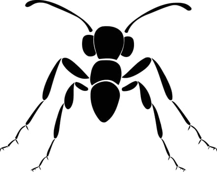 Ant insect silhouette vector