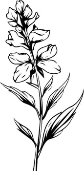 Elegant black and white illustration of a delicate flower, perfect for adding a touch of nature to designs vector