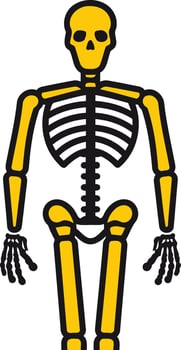 Skeleton Illustration with Yellow Bones vector