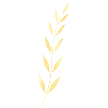 Glittery Gold Plant with Leaves on a Transparent Background png