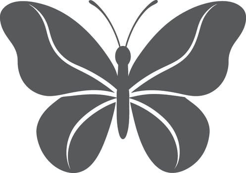 Butterfly Creative Design vector