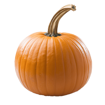 Pumpkin Isolated on Transparent Background png