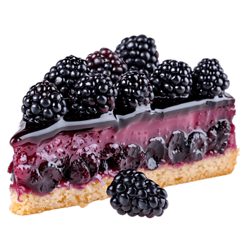 blackberry cake isolated on a transparent background png