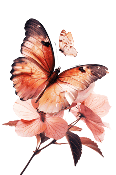 Butterfly on a flower isolated against a transparent background png