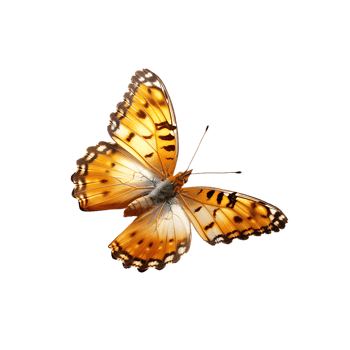 Butterfly in flight isolated against a transparent background png