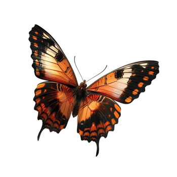 Butterfly in flight isolated against a transparent background png