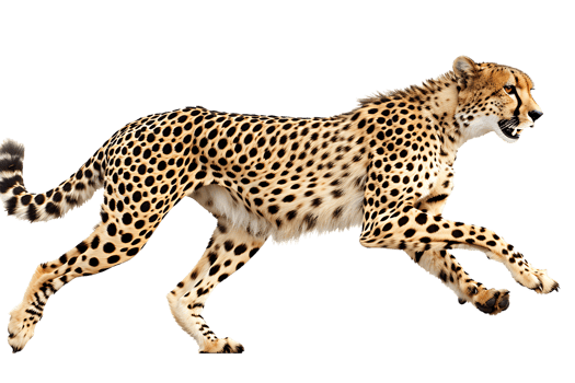 Cheetah running, side view, isolated against a transparent background png