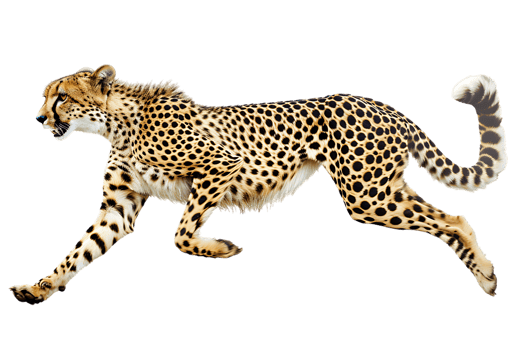 Cheetah running, side view, isolated against a transparent background png