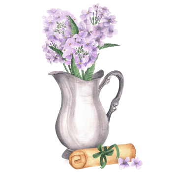 Vintage composition with floral bouquet in a silver jug. Hesperis matronalis , dame's rocket, sweet rocket flowers and old paper scroll. Hand-drawn watercolor illustration . png