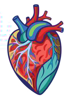 art of Human heart drawing Abstract minimal flat art vector