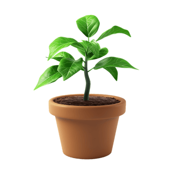 Plant in a pot over transparent background png