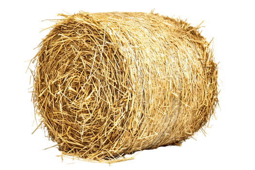 cylindrical or round hay bale isolated png