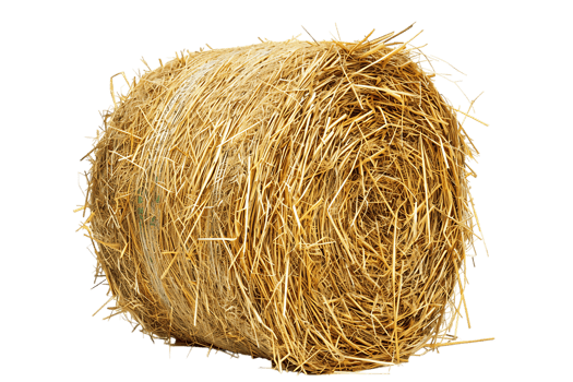 cylindrical or round hay bale isolated png