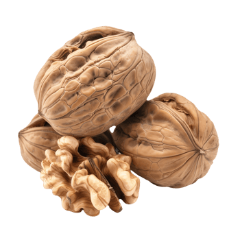Walnut Isolated on Transparent Background png