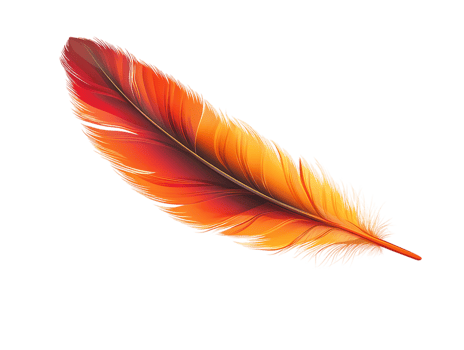 a red and orange feather on a transparent background png