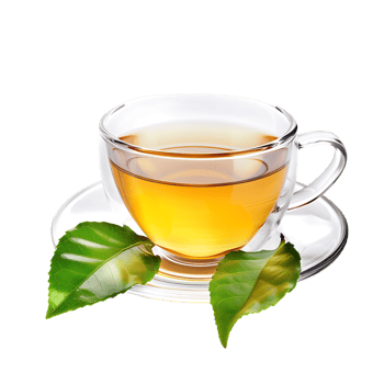 delightful cup of green tea isolated against a transparent background png