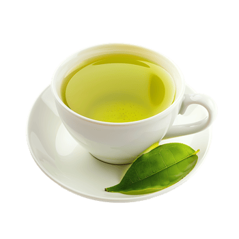 delightful cup of green tea isolated against a transparent background png