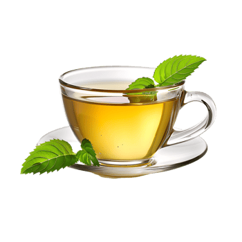 delightful cup of green tea isolated against a transparent background png
