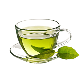 delightful cup of green tea isolated against a transparent background png