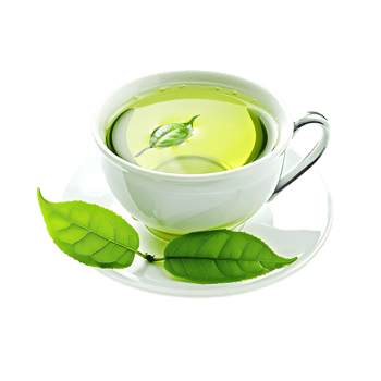 delightful cup of green tea isolated against a transparent background png