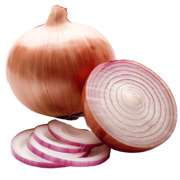 displays both whole and sliced onions, set against a transparent background png