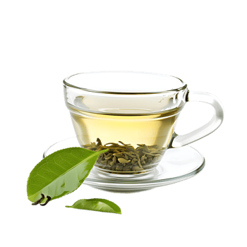 delightful cup of green tea isolated against a transparent background png