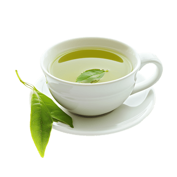 delightful cup of green tea isolated against a transparent background png
