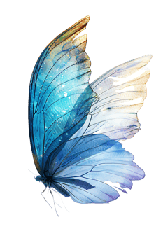 Fairy wings, isolated against a transparent background png