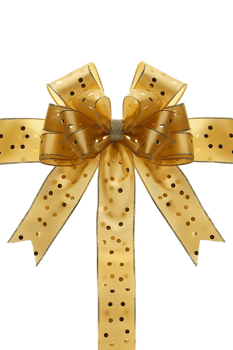gift bow ribbon set against a plain transparent background png