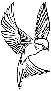 swallow bird outline style png