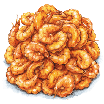 Heap of Fried Shrimps Hand Drawn Graphic png