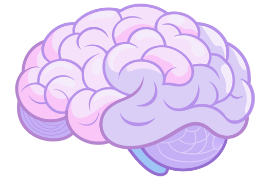 Illustration of human brain. Neurological healthcare concept design png