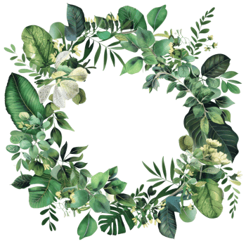 Elegant Botanical Wreath of Lush Green Leaves and Foliage on Transparent Background png