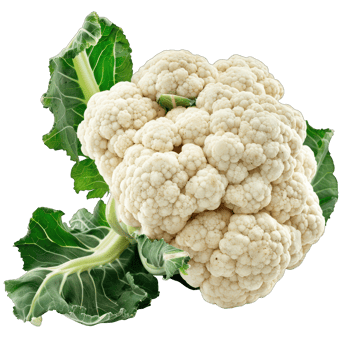 Fresh cauliflower with vibrant green leaves, isolated on a transparent background. , cutout, or clipping path. png