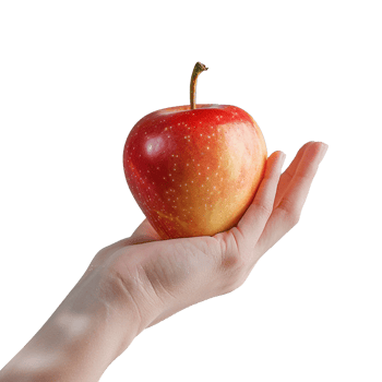 A hand holding apple isolated png