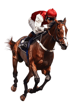 jockey with horse standing alone with a transparent background png