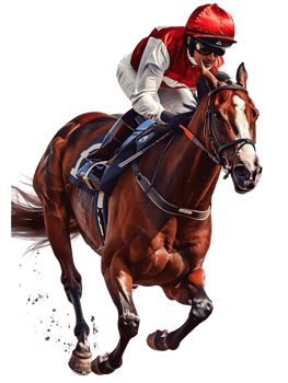 jockey with horse standing alone with a transparent background png