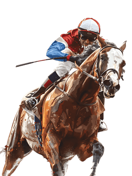 jockey with horse standing alone with a transparent background png