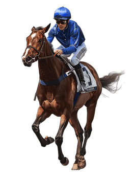 jockey with horse standing alone with a transparent background png