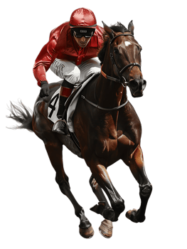 jockey with horse standing alone with a transparent background png
