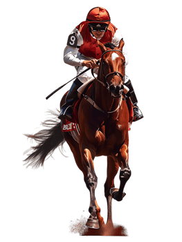 jockey with horse standing alone with a transparent background png