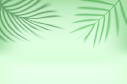 Bright interior with shadow of palm green leaves on the wall. 3d illustration vector